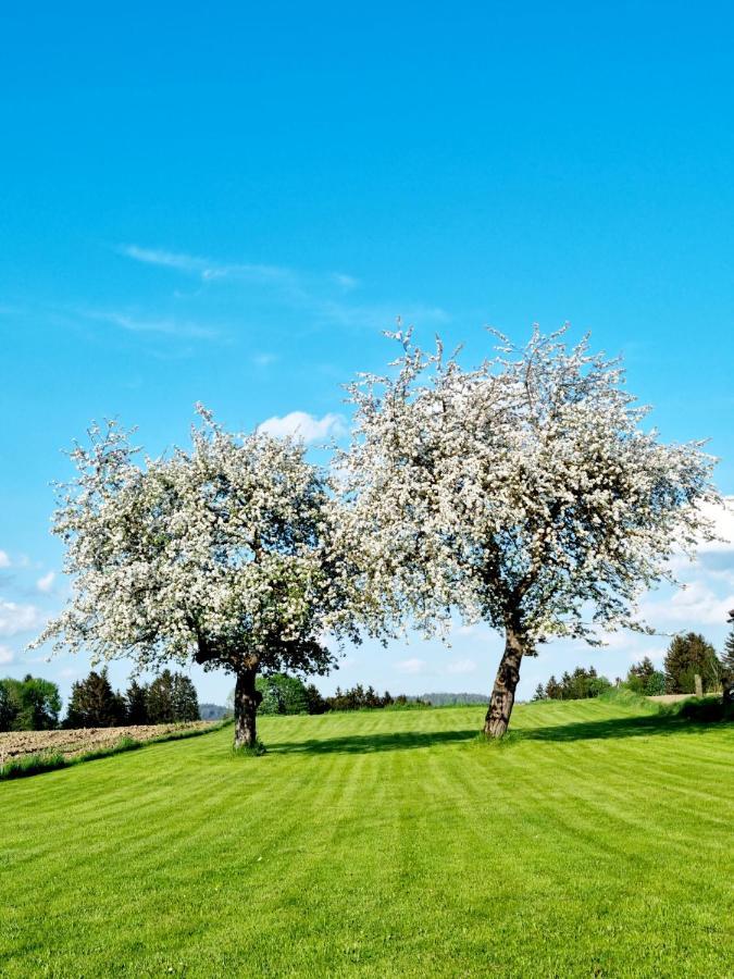 Ferienhaus Ritzmais Bischofsmais Exteriér fotografie